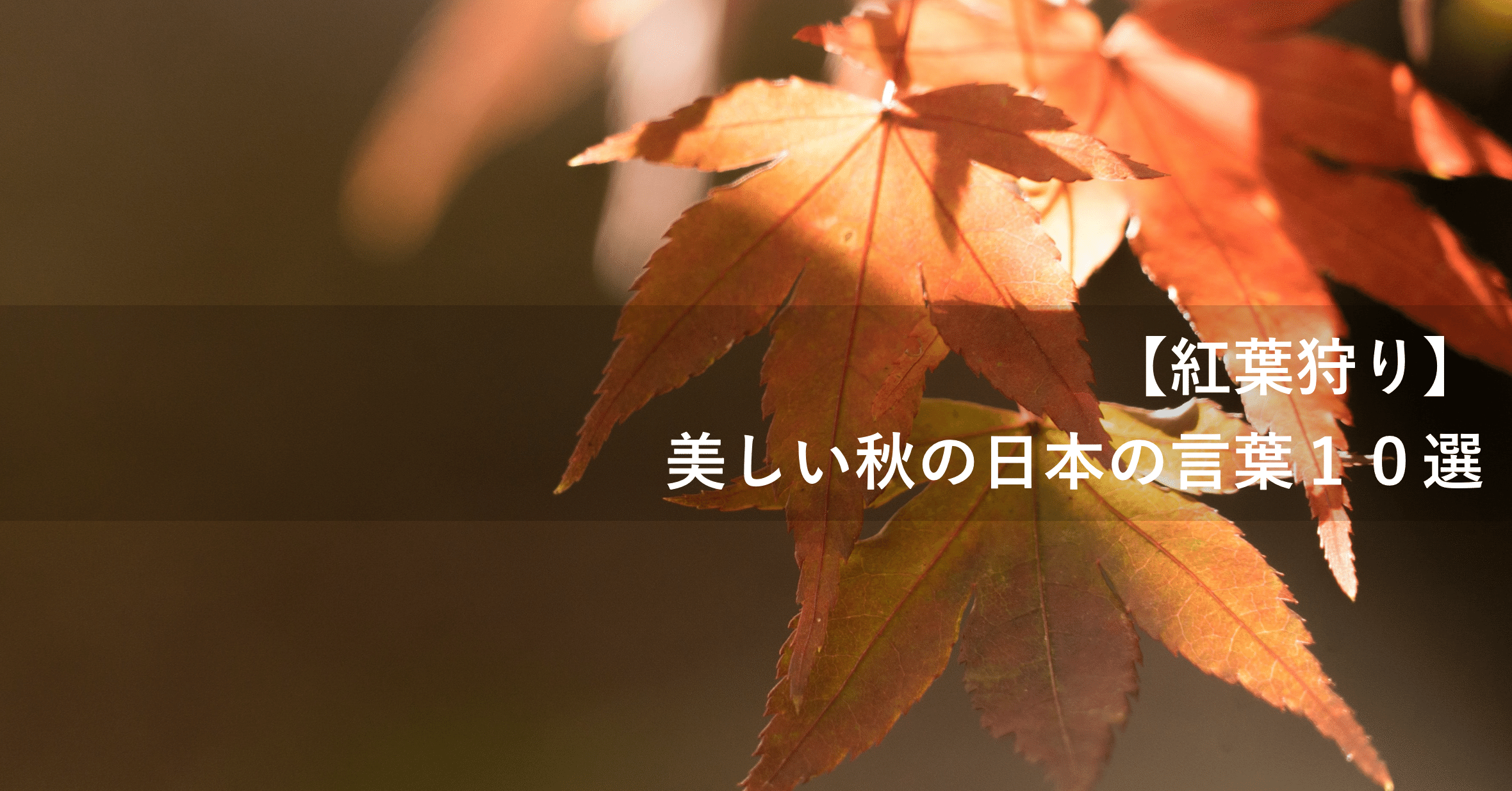 日本人も知らない 美しい日本語10選 秋編 Japan Journey Info Note 日本人も知らない 美しい日本語10選 秋編 Japan Journey Info Note