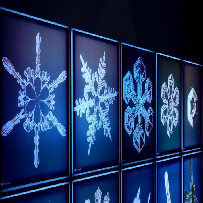 ノーベル賞には届かなかった 天からの手紙 ー 「雪の華」を中谷宇吉郎