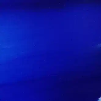 サンクシスト