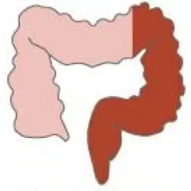 巳子六郎