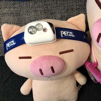 小沢健二 LIFE再現ライブ @日本武道館｜あを