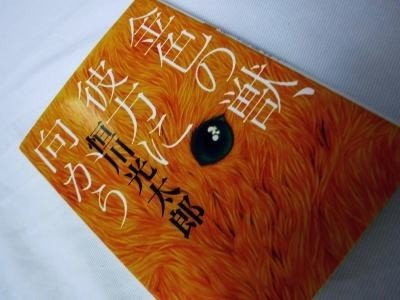 読書 金色の獣 彼方に 向かう 恒川光太郎 ふじの整体院 広島 広島市南区 カイロプラクティック科 ほぐし療法科 Note 読書 金色の獣 彼方に 向かう 恒川光太郎 ふじの整体院 広島 広島市南区 カイロプラクティック科 ほぐし療法科 Note