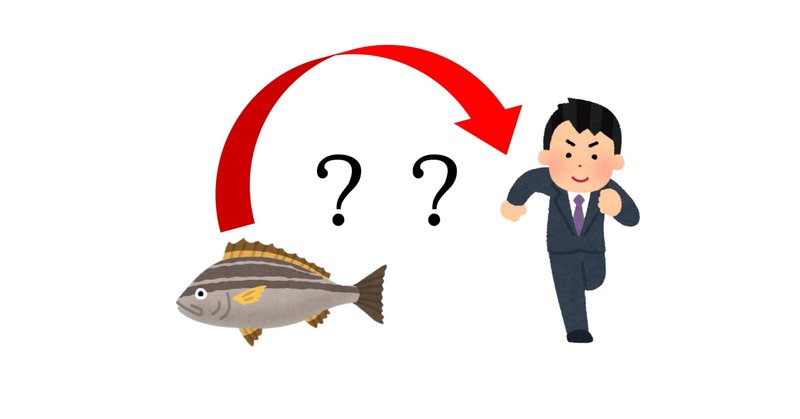 サイエンス図解 進化のはなし 人間の御先祖はサルではなくサカナ 武田ひか Note