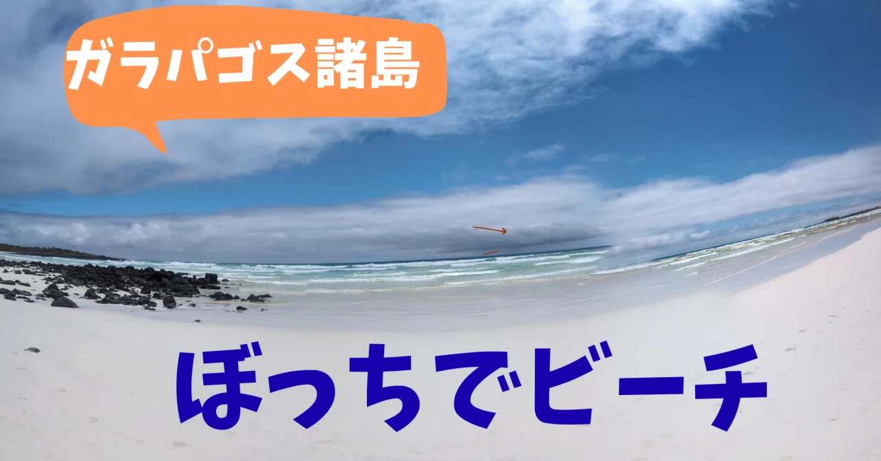 ガラパゴス諸島、ビーチでぼっちで戯れる【女一人、世界一周】｜さなえ 