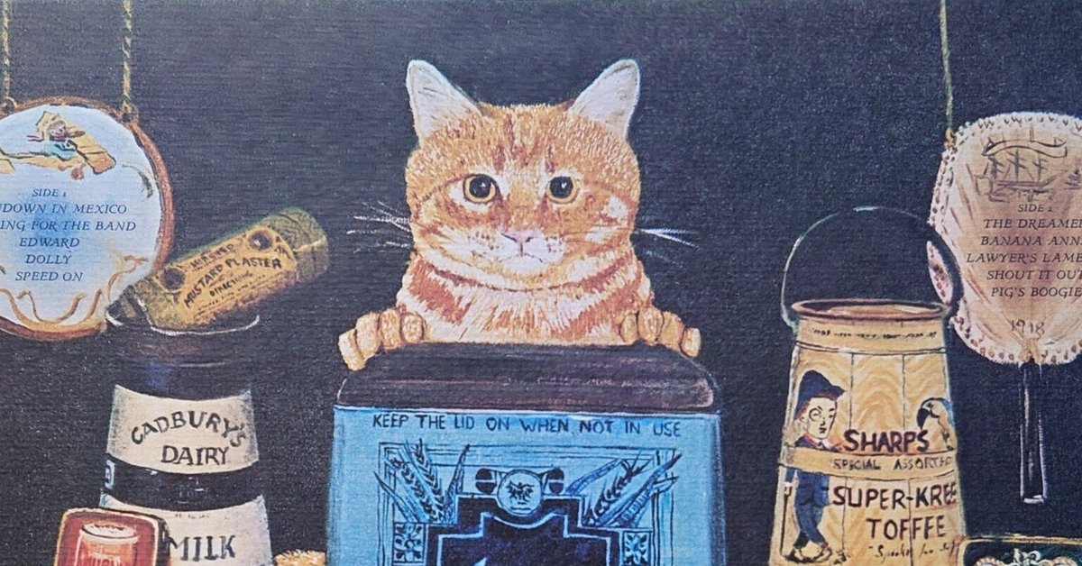 🎼The Tin Man Was A Dreamer｜音(おと)