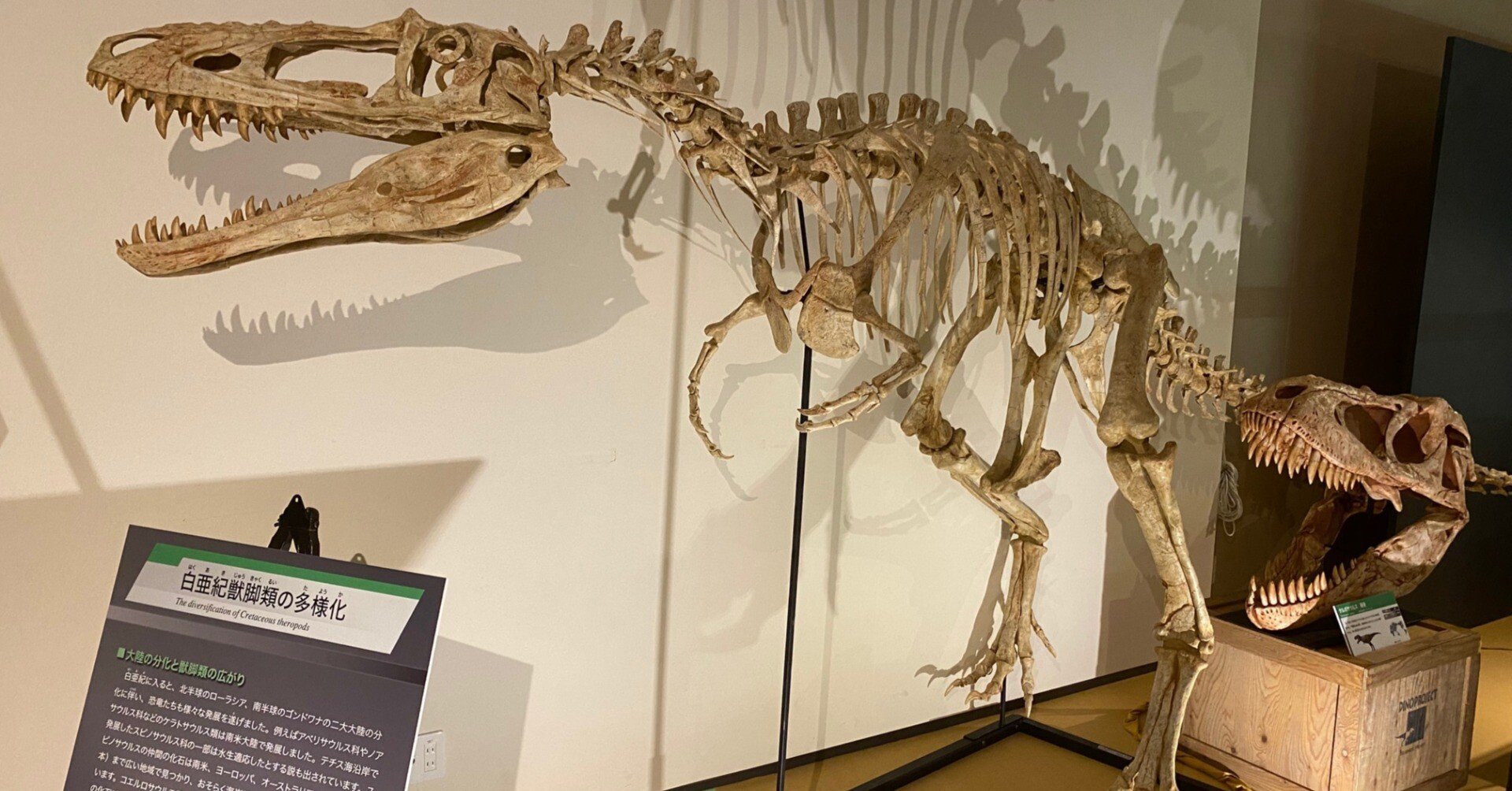 39295bfea0cc2e3594fe32de43de35