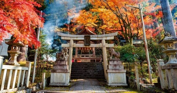 花山周子／屋上の人屋上の鳥 屋上の人屋上の鳥』 花山周子 : カーテンコール31