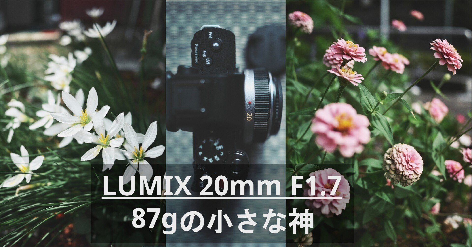 ✨❤️簡単に背景ボケ写真単焦点レンズ20mm F1.7 ❤️✨ 私 ✨❤️簡単に背景ボケ写真単焦点レンズ20mm F1.7 ❤️✨ 私