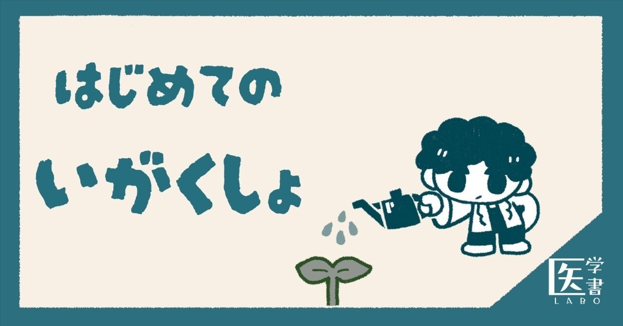 初めての医学書の書き方【若手でも・コネがなくても・テーマが決まって