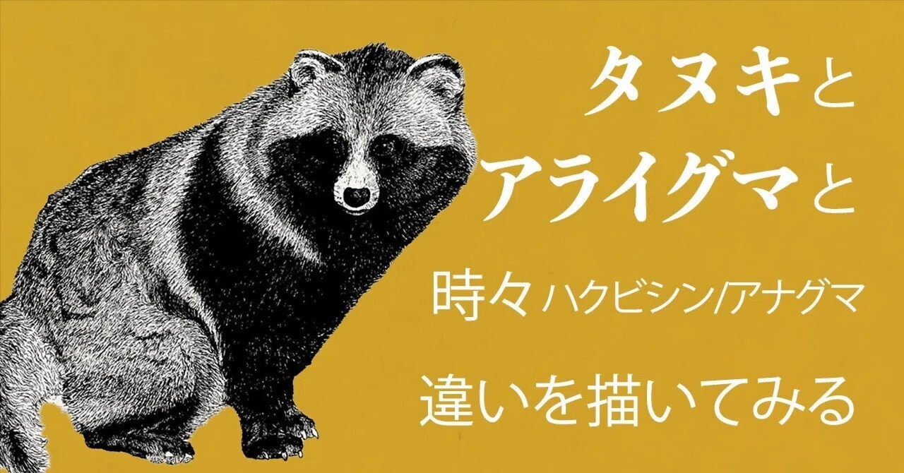 Tanuki and Raccoon: Here is the Difference! Distinguishing Points