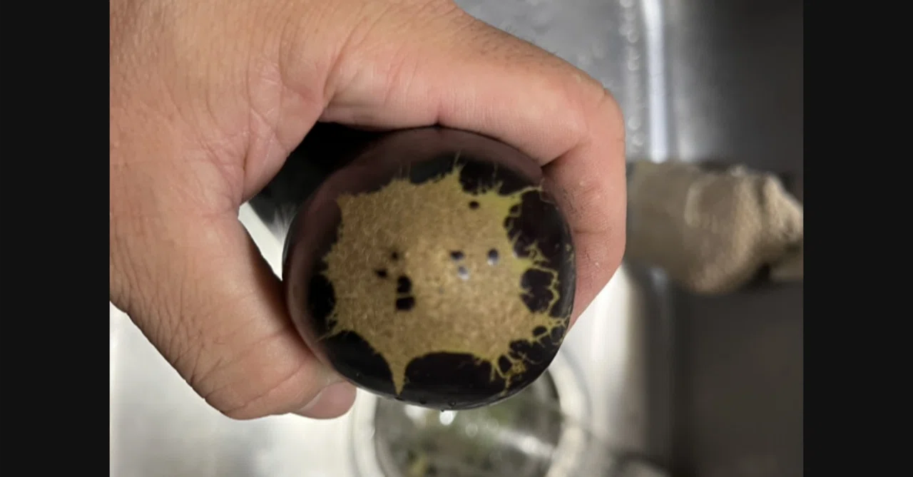 茄子 の 皮