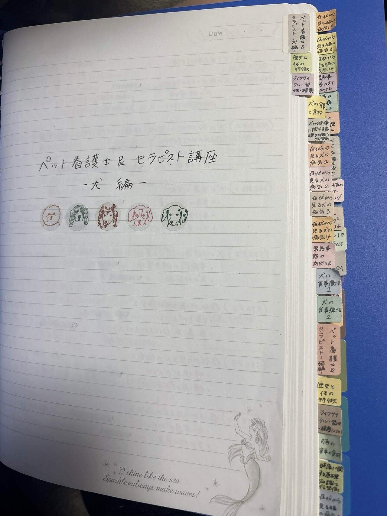 ペット看護士&セラピスト講座】再受講を申し込みました！※現在は