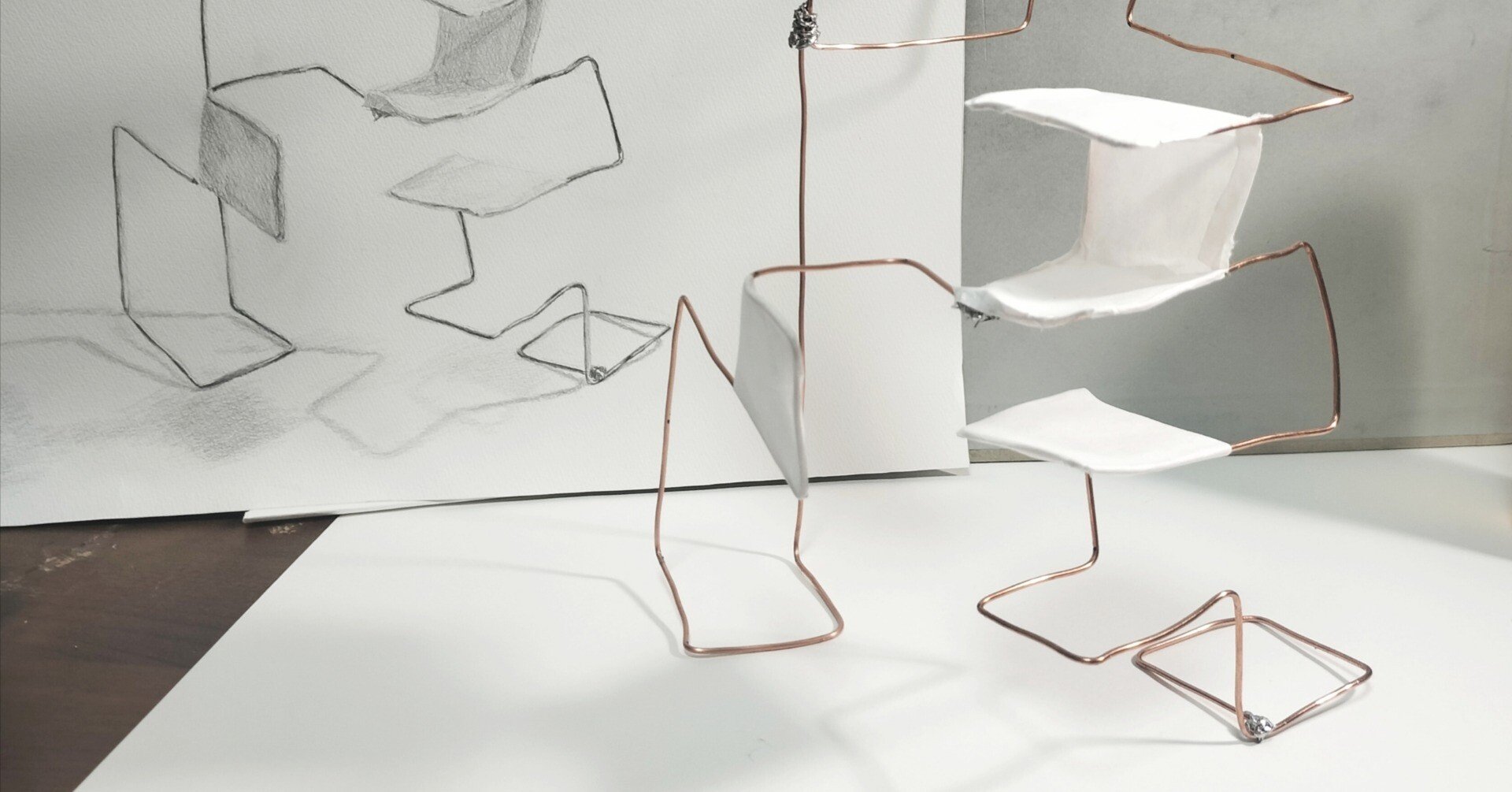 くなりみい出品 立体標本6点 立体造形演習2 感想｜𝕜𝕚𝕨𝕚(ソフィ)