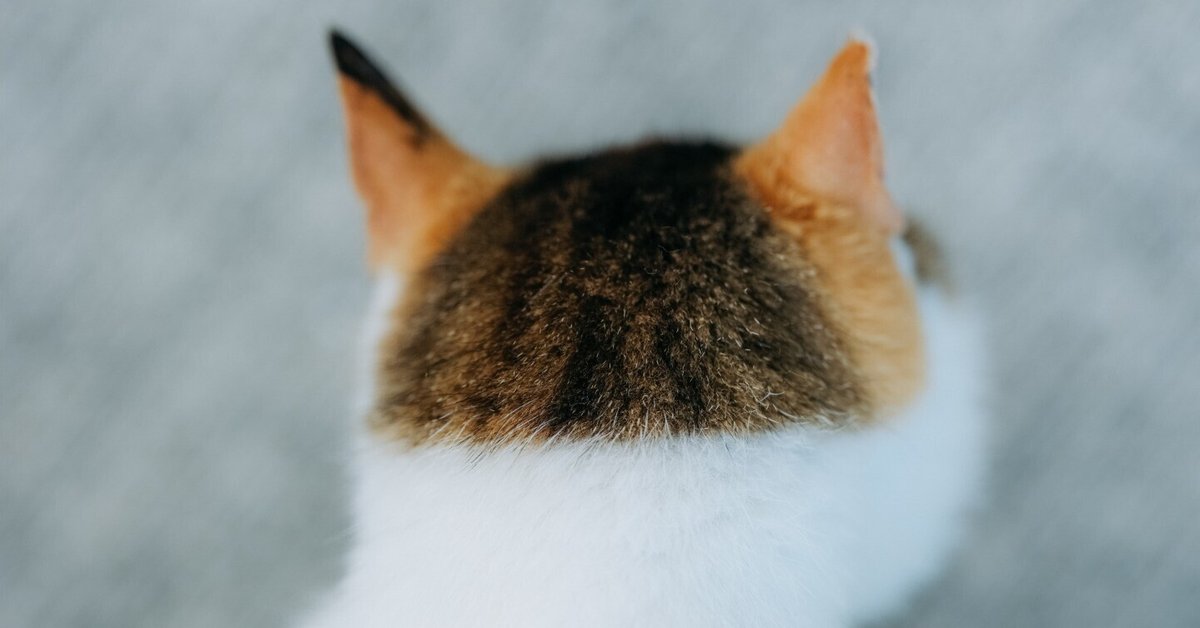 ご依頼作品　title「本日22時TikTokで3分の1で誰かがカラーGET❗」 ご依頼作品 title「本日22時TikTokで3分の1で誰かが