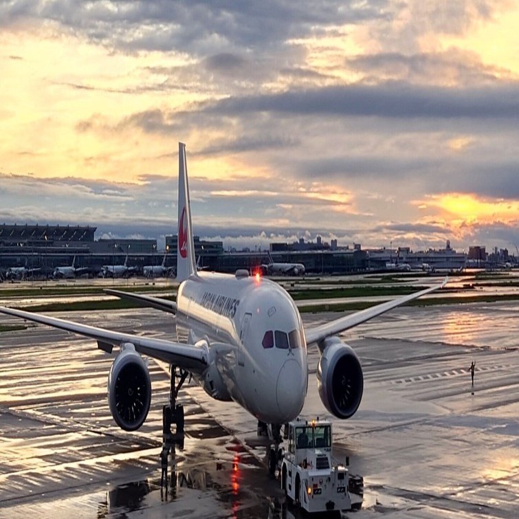 実録】JGCプレミア会員への道2025／5月31日（第19回）｜菅野ノリヒコ