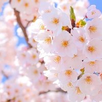 地下室の手記 を読んで 焼肉野郎 Note