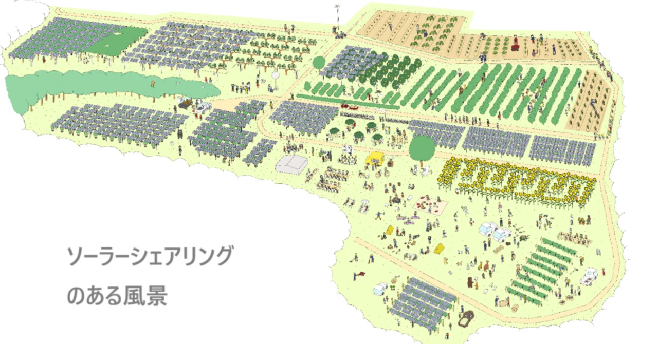 夢の実現へ｜さがみこファーム（「さがみこベリーガーデン」を運営）