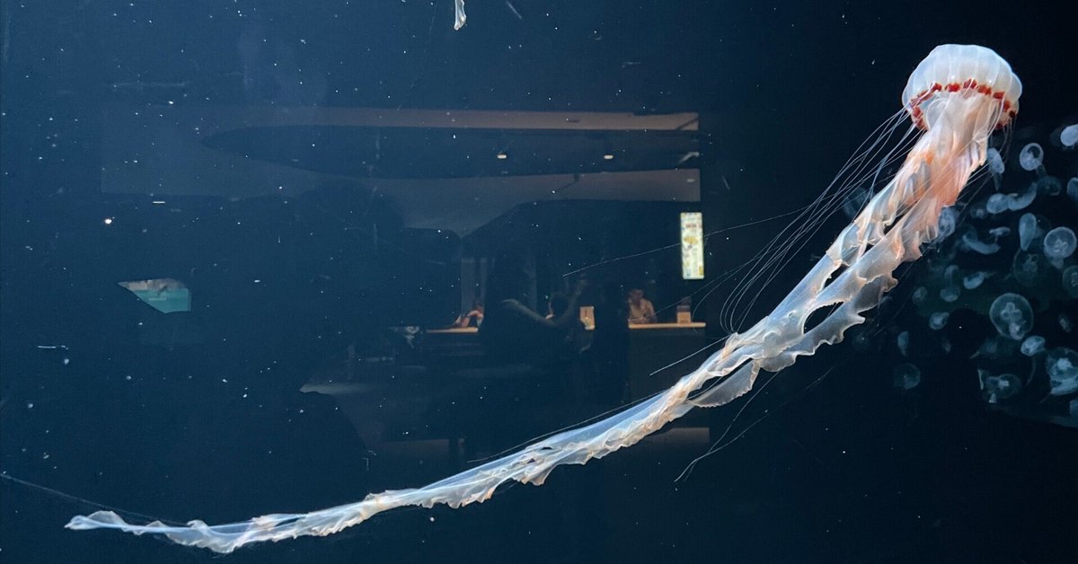 レムリアンアクアティンカルサイト｜Aya Watanabe