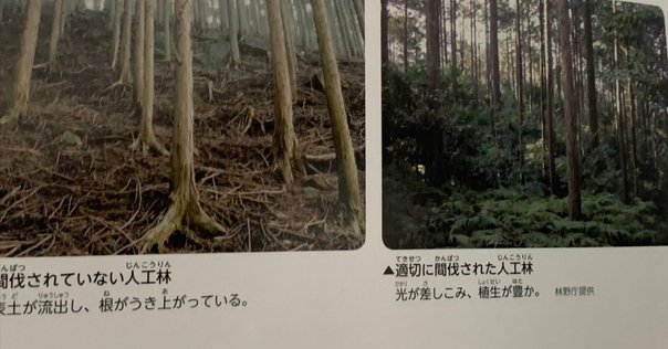 宝島 全都市生活カタログ 特集 書籍紹介】宝島 第3巻11号 全都市カタログ｜またたび文庫