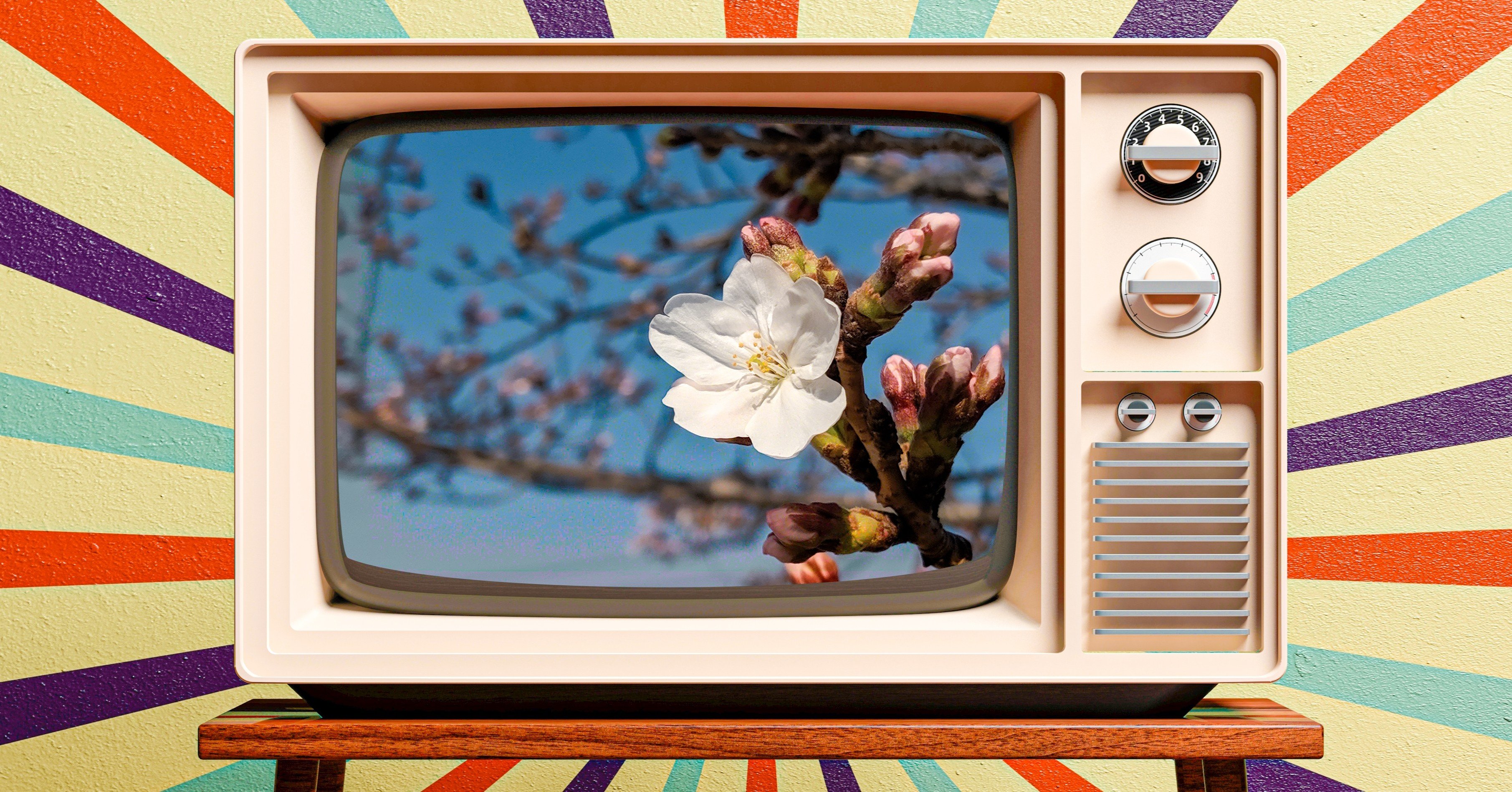 年春のわたしのテレビ番組表 R360studio 森和恵 Note 年春のわたしのテレビ番組表 R360studio 森和恵 Note
