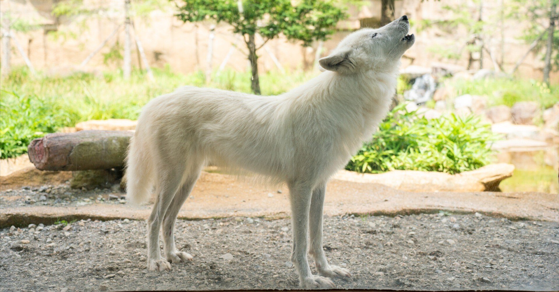 fa4a52c46aba4546305537228ddbd1