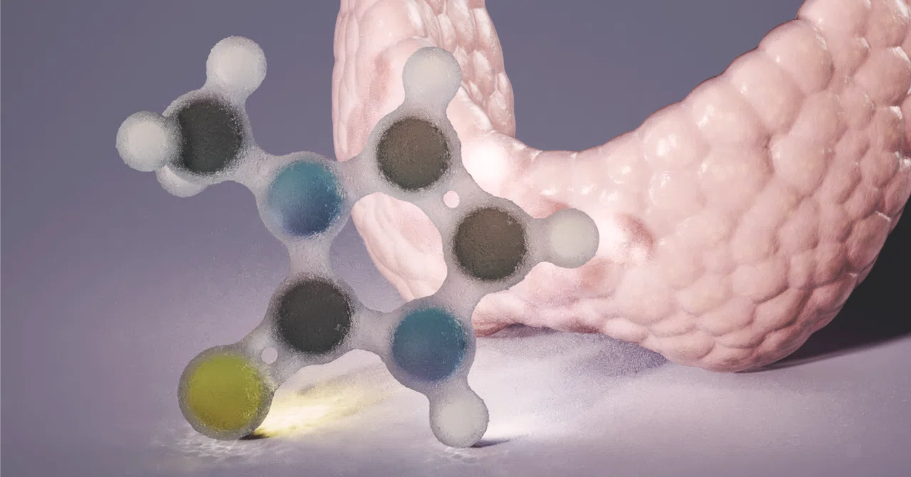 Realizing the Necessity of Explaining Diseases and Treatments Through ...