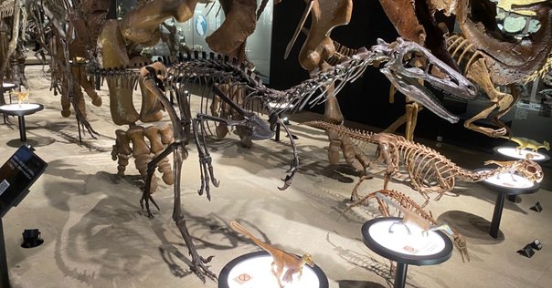 イベントレポ】恐竜少女が古生物学者になって、思い出のまんがを