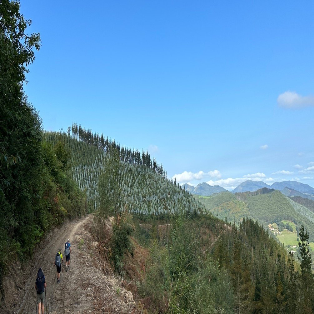 🇪🇸サンティアゴ巡礼|初心者必読!? 最初の一冊はこれ｜のんびり風子
