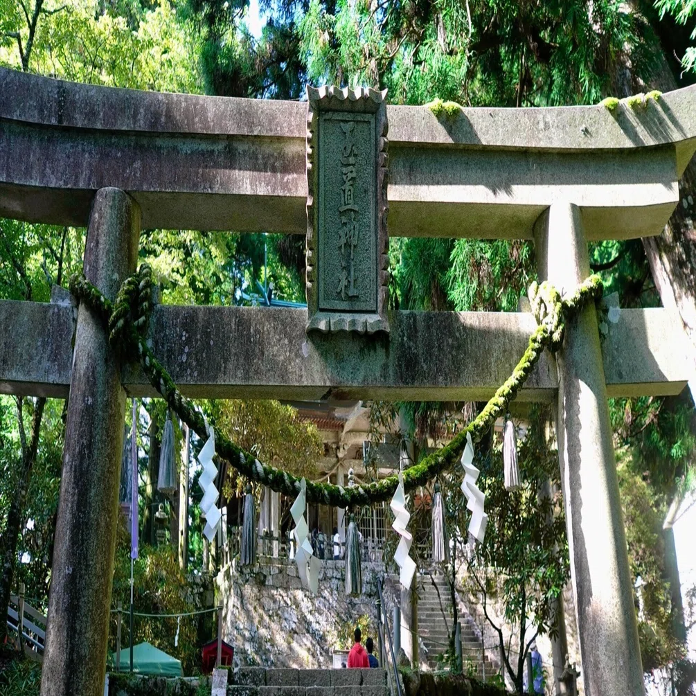 たまに短歌 2025年10月6日 玉置神社｜熊本熊