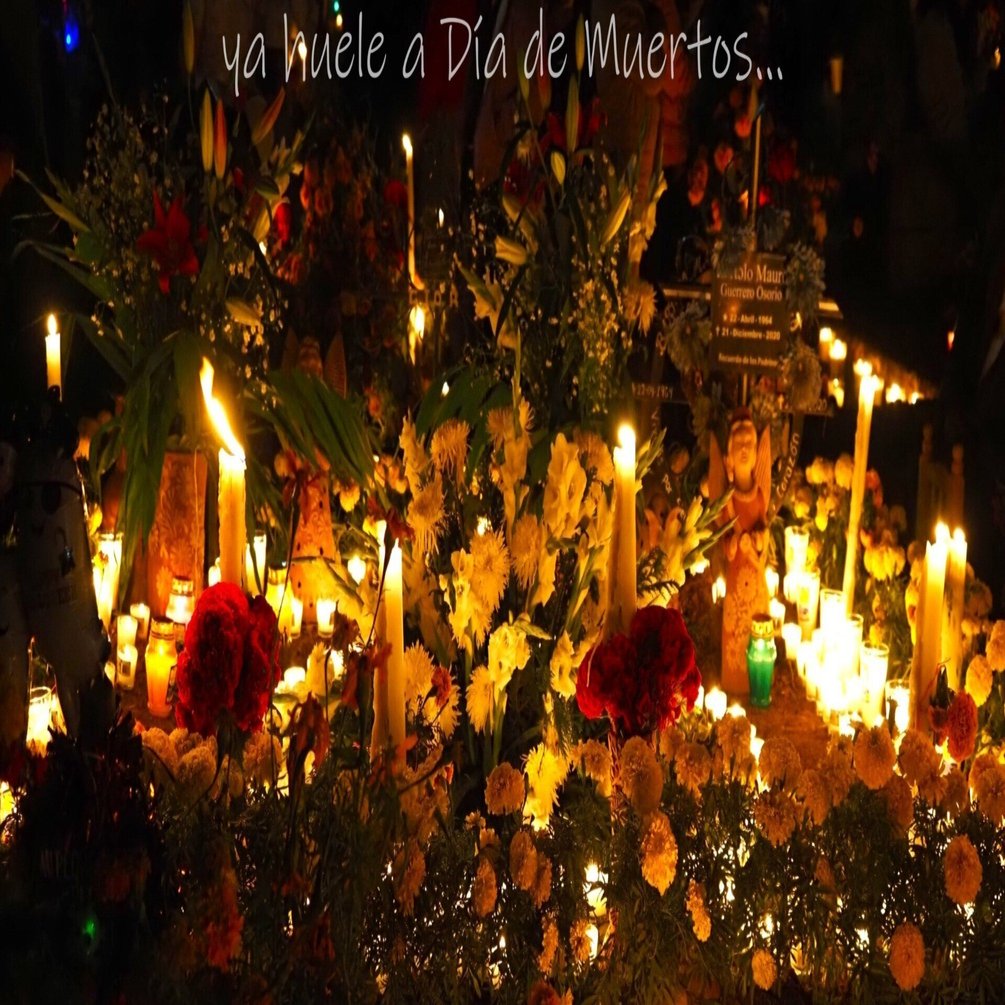 オアハカ死者の日。墓地訪問する人へのアドバイスです。｜さる