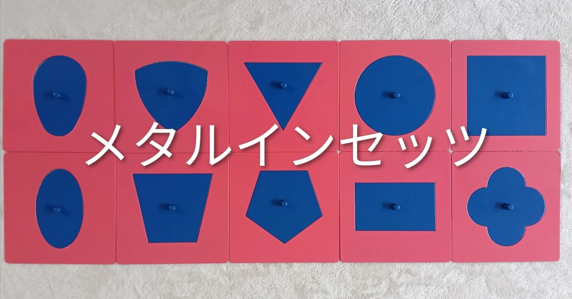 メタルインセッツ、ここがスゴイ！｜CLASS