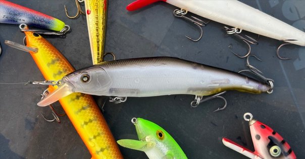 テイルウォーク　ワイドバサル　CA61Ｌ　ベイトリール　両軸リール　タコ　鯛ラバ Amazon | テイルウォーク(Tailwalk) リール ワイド バサル CA61L