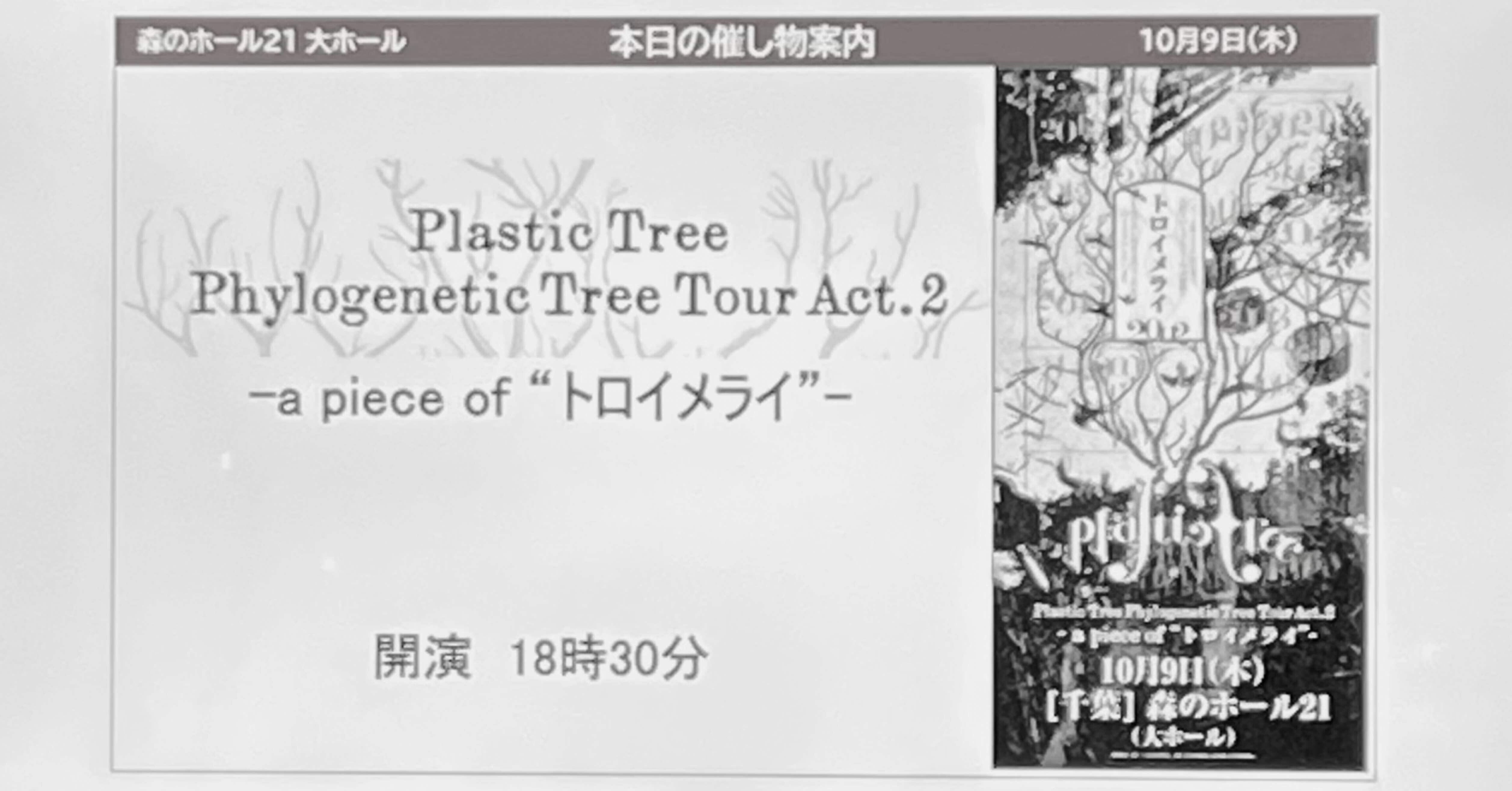 2025年10月9日 Plastic TreePhylogenetic Tree Tour Act.2 - a piece
