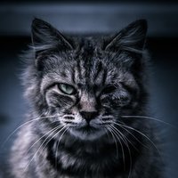 三秋縋 著 スターティング オーヴァー 読書感想文 Yushi Note