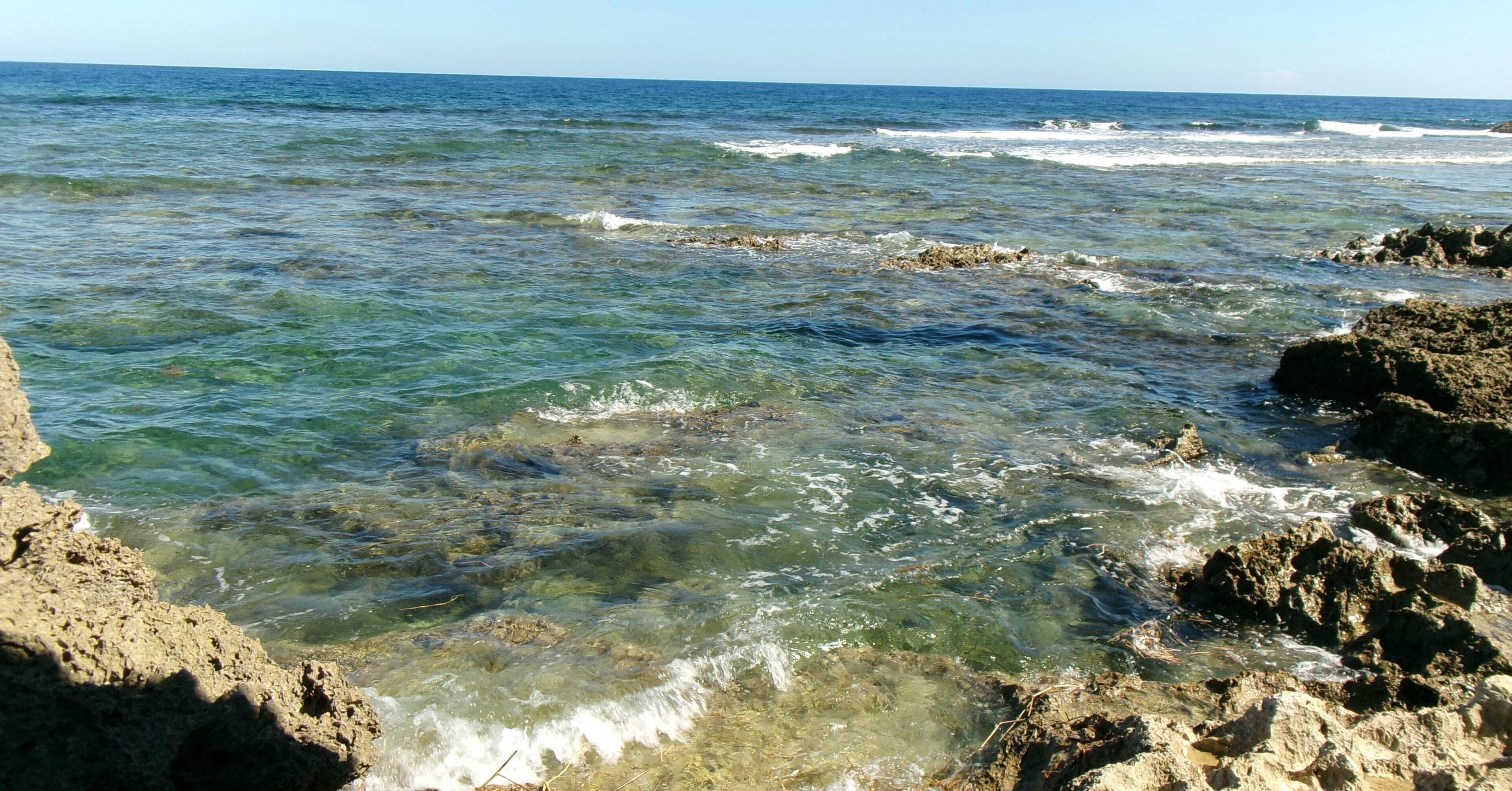 kodak FZ55を3ヶ月使ってみた。作例と感想/24歳ひとり暮らし｜あんべ