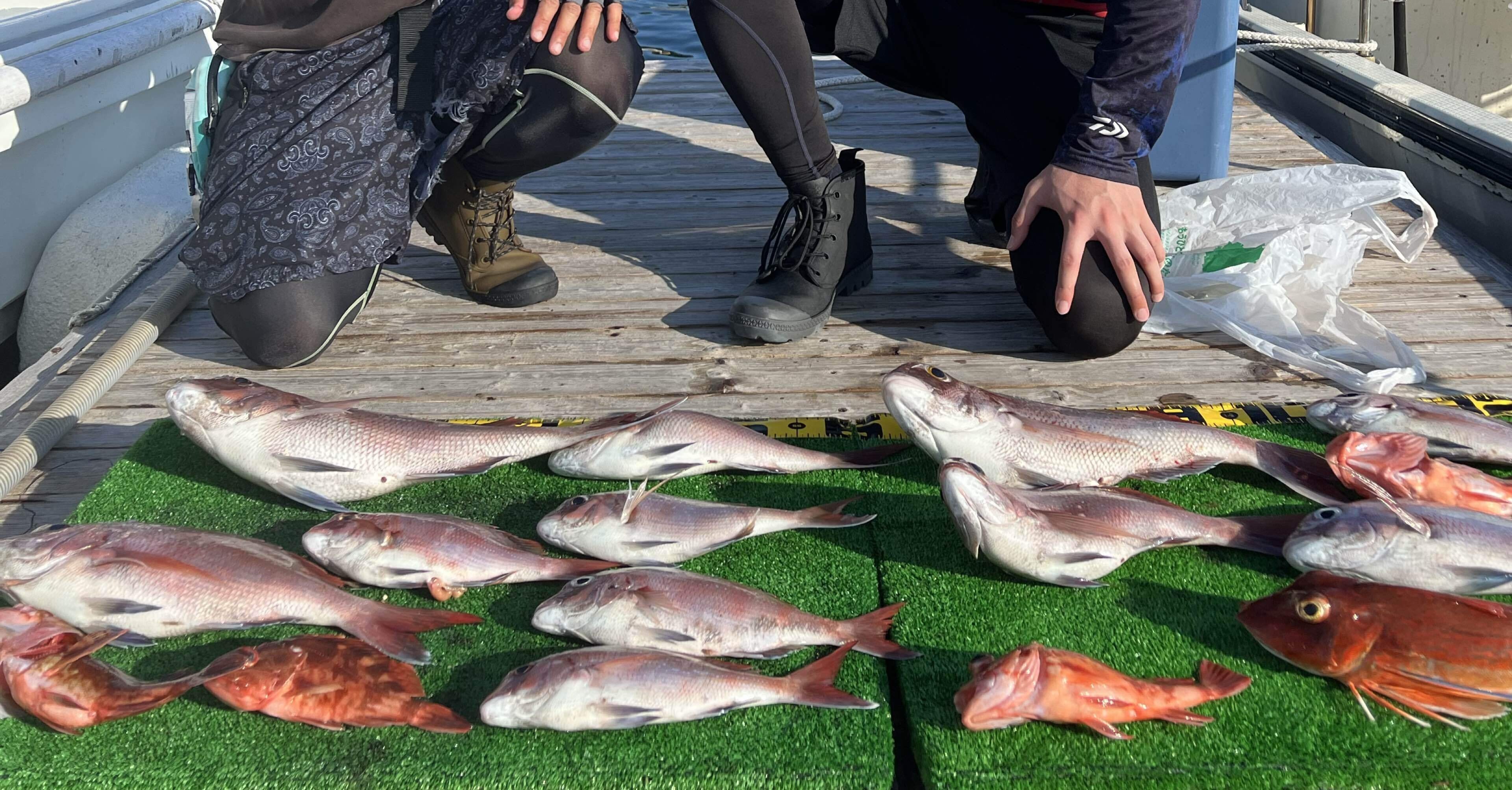 初心者船長の挑戦】伊勢湾レンタルボートで真鯛ラッシュ！神島タイラバ
