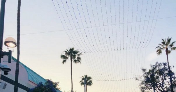 カール・ロジャーズとともに　カールアンドナタリー・ロジャーズ来日ワークショップ カール・ロジャーズとともに カールアンドナタリー・ロジャーズ