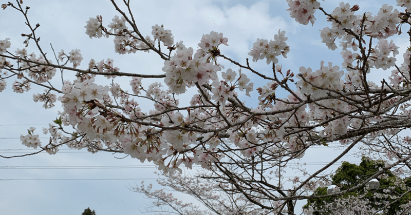 日誌⑥