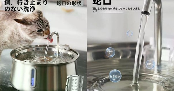まちこ　Wansview 自動給餌器 猫犬対応 300万高画素カメラ付 Amazon.co.jp: Wansview 自動給餌器 猫犬対応 300万高画素カメラ