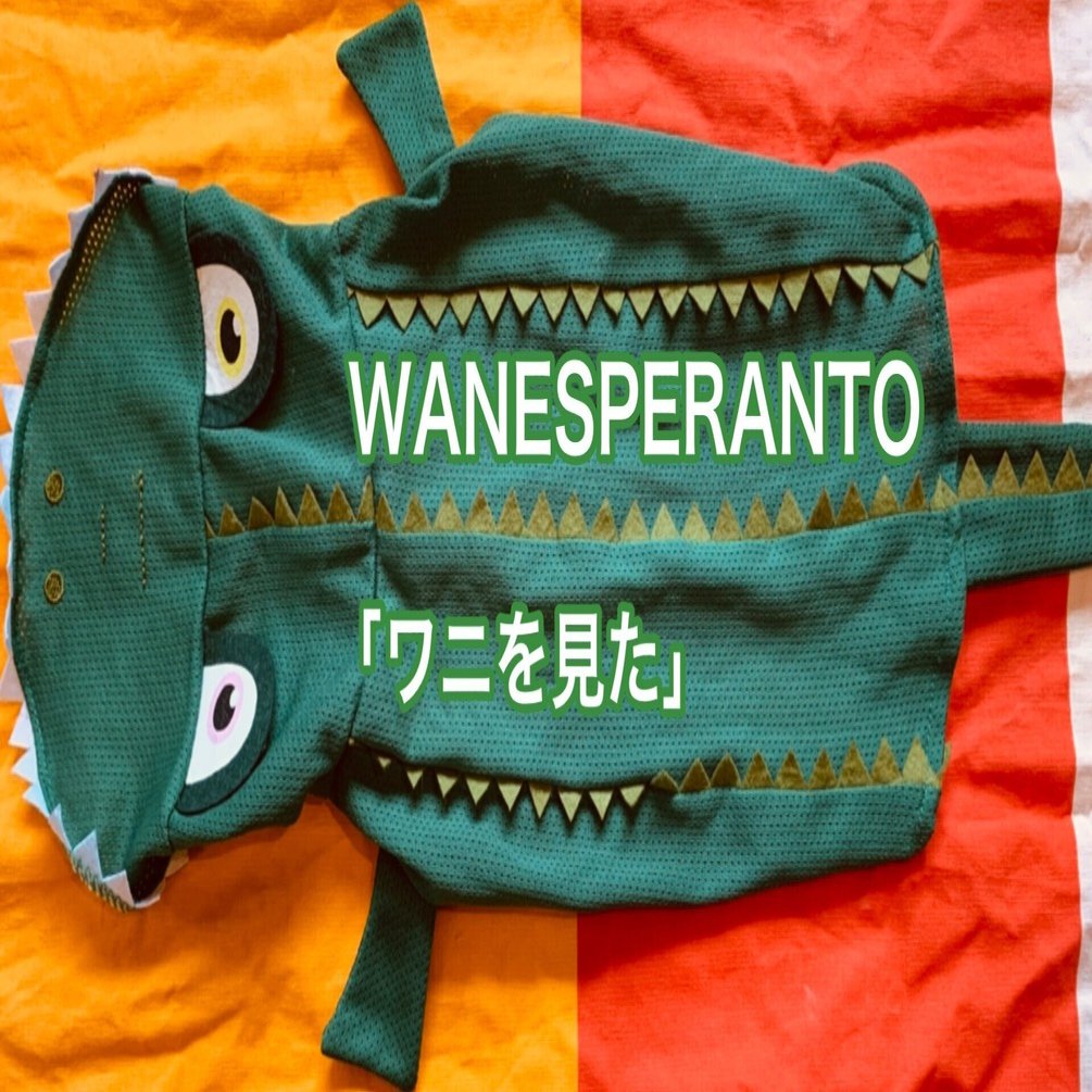 WANESPERANTO⑥ ワニを見た｜脚本家・今井雅子📚言葉遊びが好きな物書き