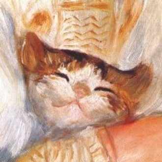 短歌 雨で毛が 汚れた猫を 見てるだけ しかできなくて この世 悲しい ゆらのなの Note