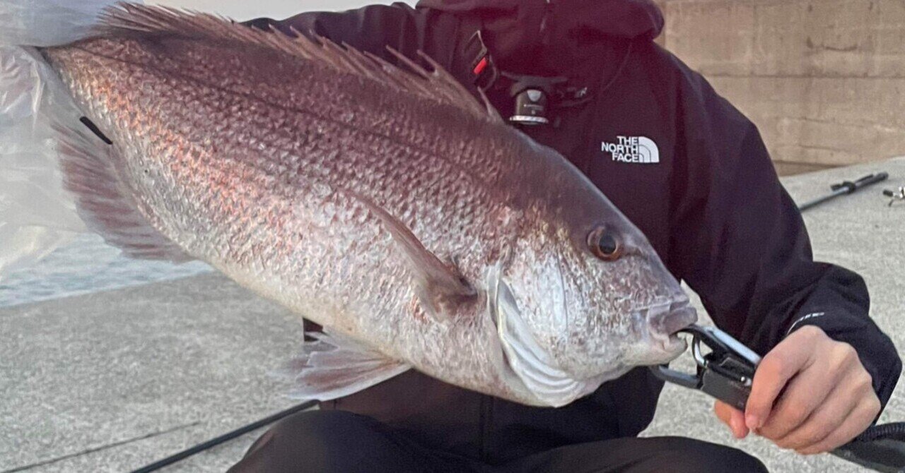 やっぱり根魚が好きなので｜オツヒト