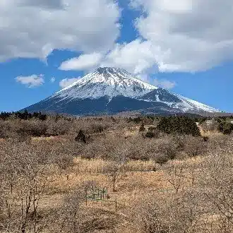 ポケットカウボーイ
