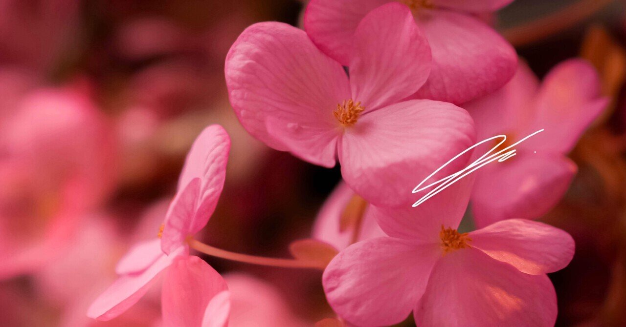 優しさの在処｜Seiju Sueyoshi