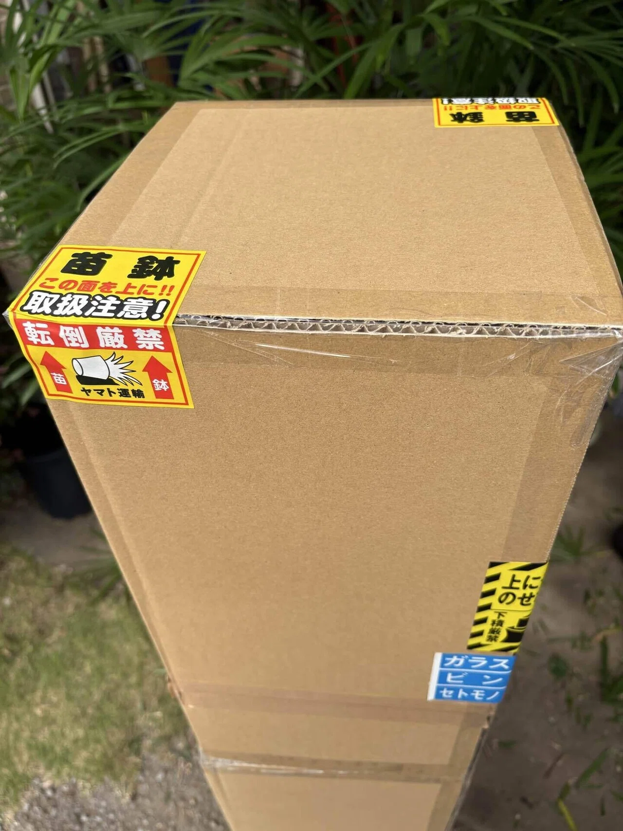 クレームゼロ！！大きい観葉植物の梱包方法📦｜九州モダン児(竹を使っ