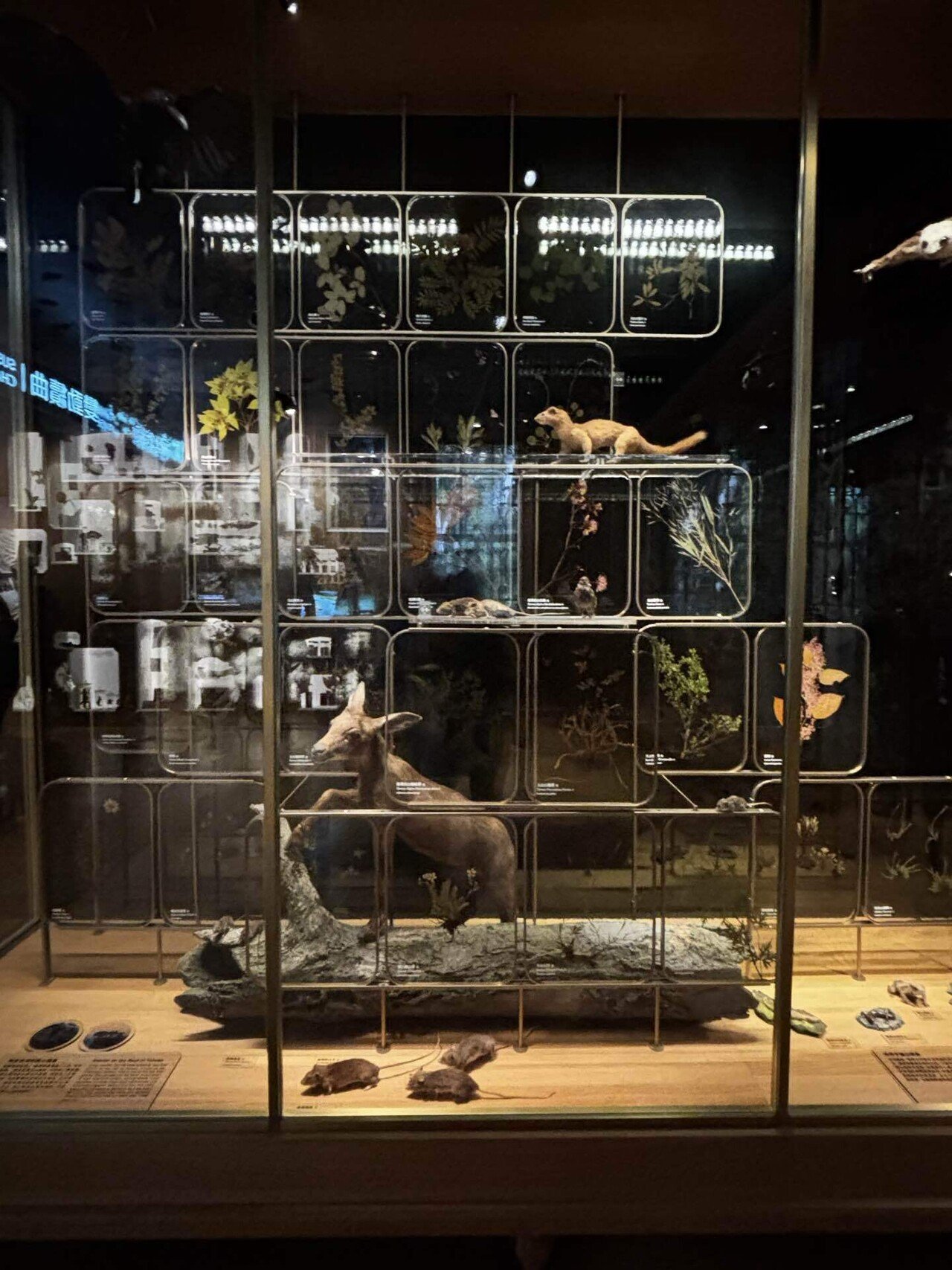 国立台湾博物館@台湾｜Saki Hanaoka