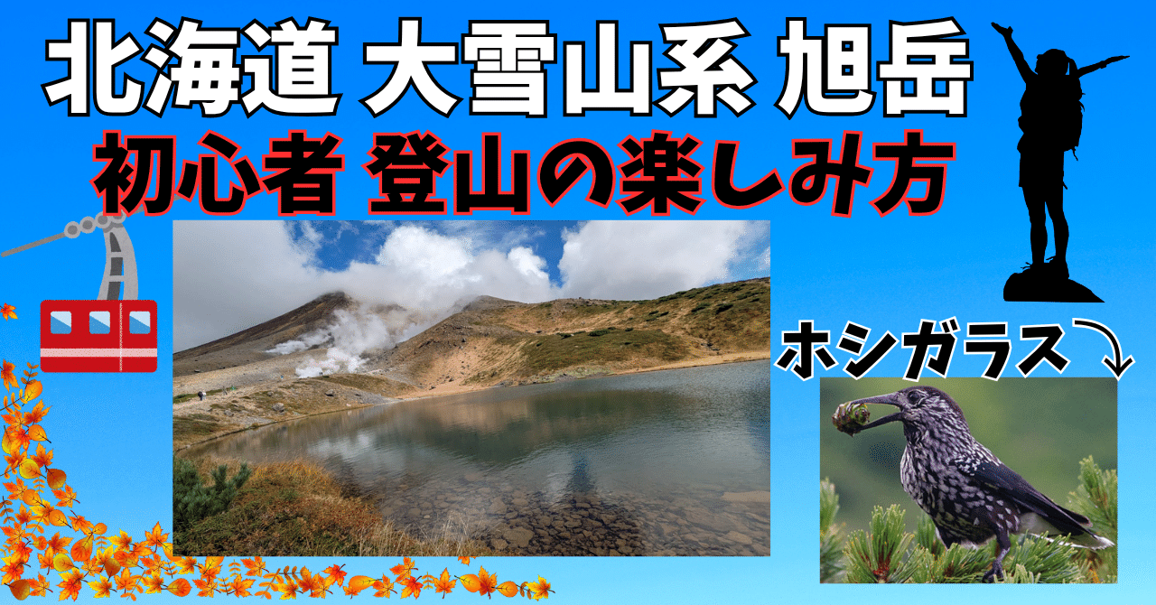 大雪山旭岳🚡初心者のちょい登山🥰ホシガラスと紅葉の北海道最高峰