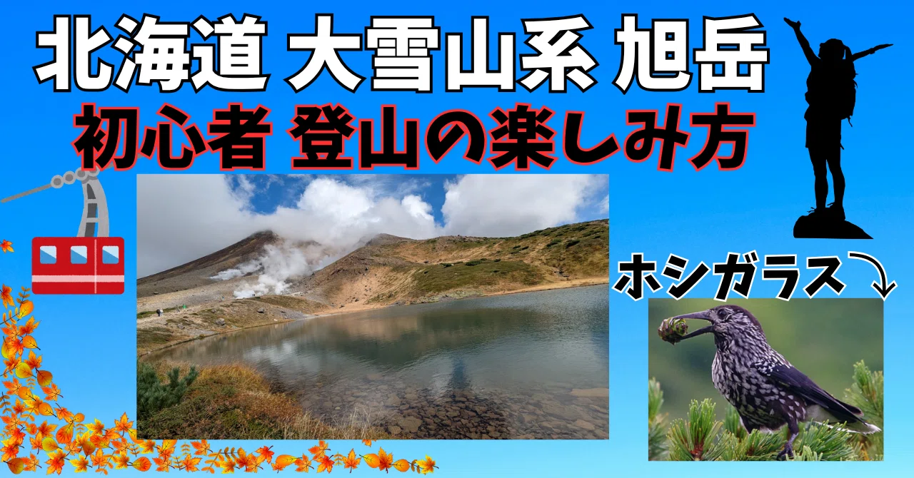 大雪山旭岳🚡初心者のちょい登山🥰ホシガラスと紅葉の北海道最高峰