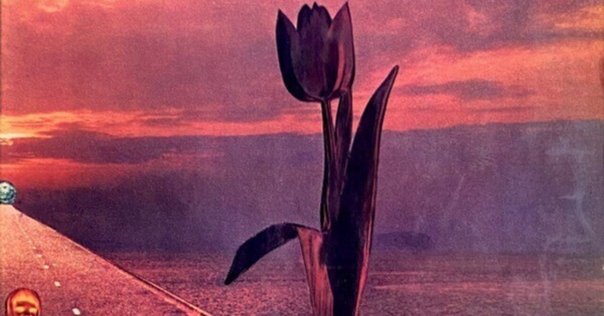 Parannoul 『Sky Hundred』CD 파란노을 – Sky Hundred – Vinyl (LP, Album), 2024 [r33516167