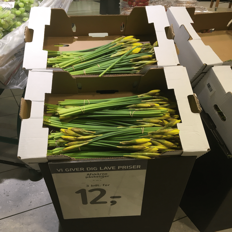 春先にスーパーに並ぶニラに似たアレには要注意！ - Living in Denmark